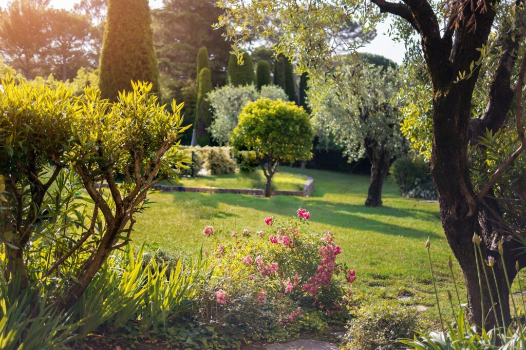 Green lawn and trees.