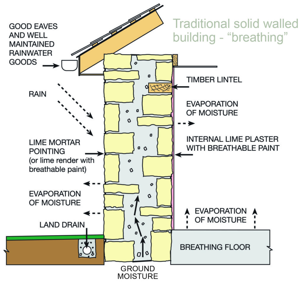 damp survey