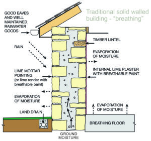 damp survey